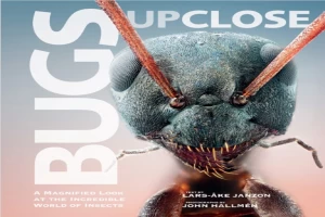 Bugs Up Close: A Magnified Look at the Incredible World of Insects